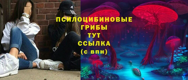 соль ск Балахна