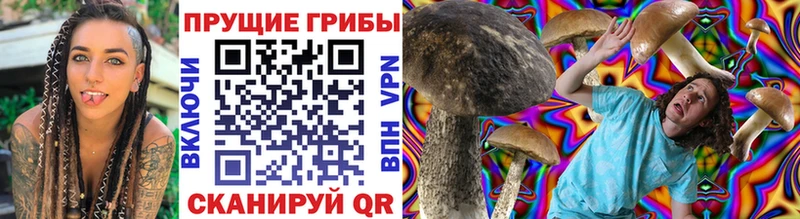 omg ССЫЛКА  Бугуруслан  Псилоцибиновые грибы Psilocybine cubensis  купить наркоту 